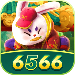 6566.COM